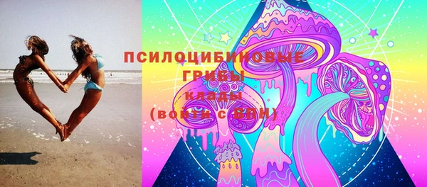apvp Балахна