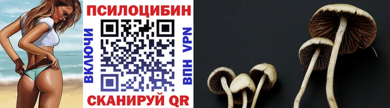 Псилоцибиновые грибы мухоморы  Волоколамск 